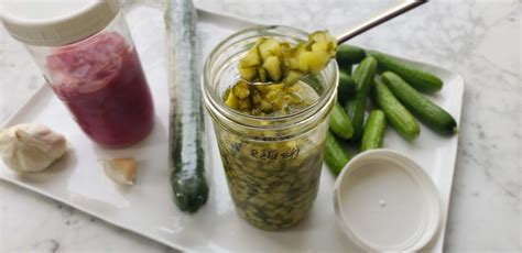 Probiotic Pickle Relish Premium Pd Recipe Protective Diet