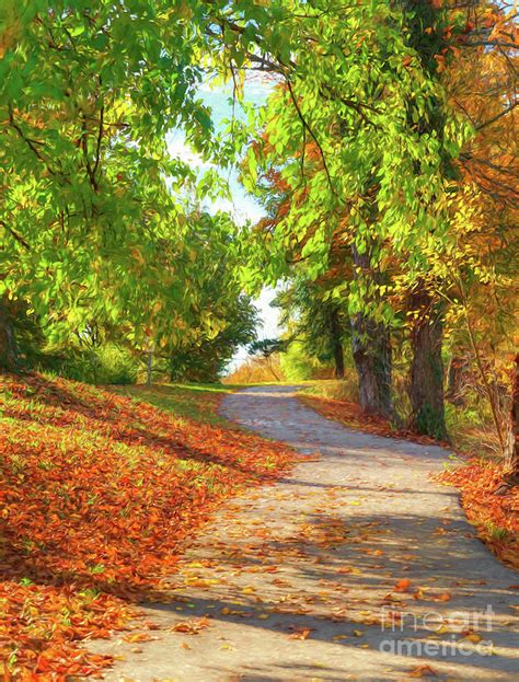 Pathway To Autumn 3 Photograph By Mel Steinhauer Fine Art America
