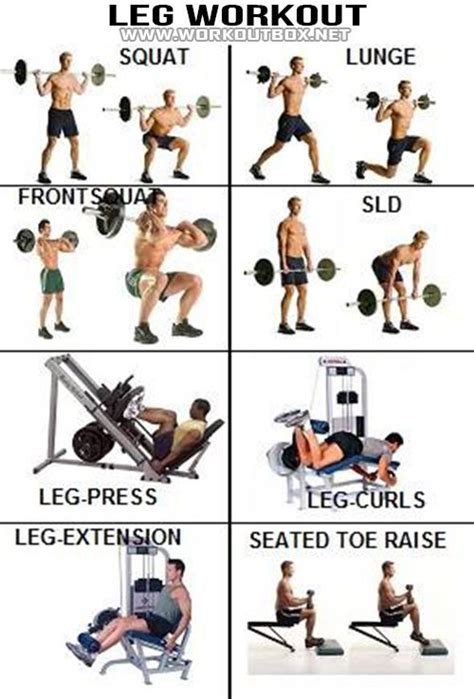 Easy But Effective Leg Workouts Musely