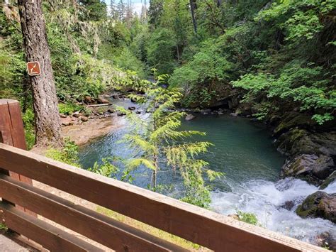 Cavitt Creek Falls Recreation Site Bureau Of Land Management