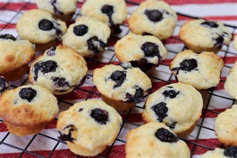 Mini Blueberry Muffins Recipe Dobbernationloves