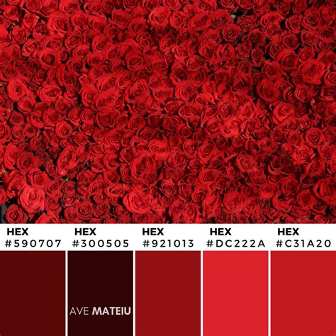 red color palette canva yuriko clevenger