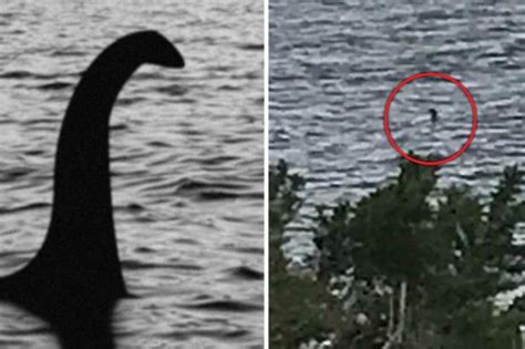 Loch Ness Monster Found Tourist Captures Object Lurking In Highlands