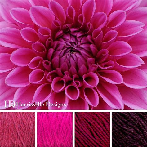 Dahlias Color Palette Features Highland Yarn In Colors Raspberry