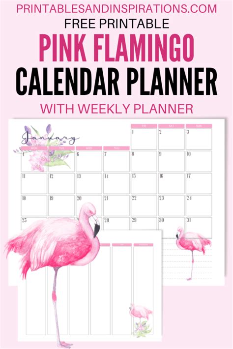 2020 2021 Flamingo Calendar Weekly Planner Free Printable Printables And Inspirations Weekly
