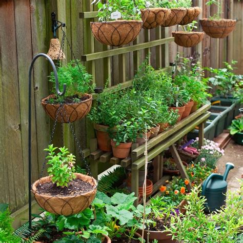 Beginners Guide To Container Gardening Container Gardening For