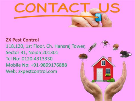 116 likes · 5 talking about this. PPT - Reliable Termite Treatment in Noida Call 9899176888 ...