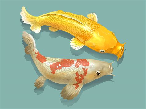 Two Japanese Koi Fish Swimming Royalty Free Stock Illustration 449887