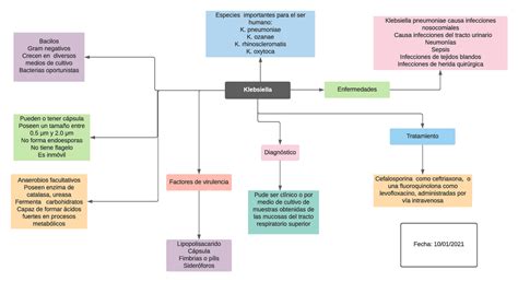 Mapa De Klebsiella Klebsiella Bacilos Gram Negativos Crecen En