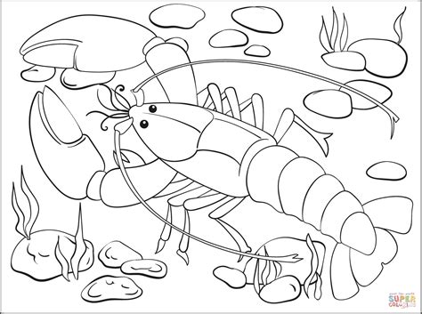 Very Cute Omar Hana Colouring Pages For Kids Coloring