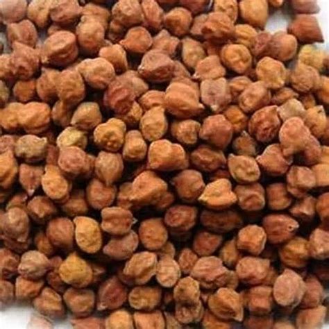 Brown Desi Kala Chana Packaging Type Pp Bag Packaging Size Kg At Rs Kg In Indore