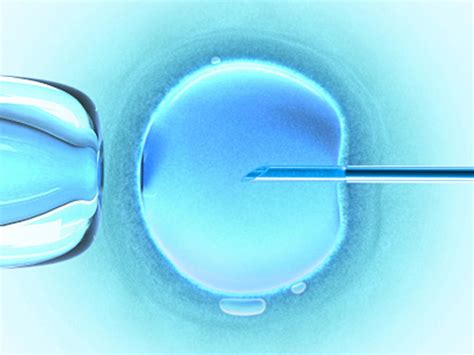 Japanese Scientists Pioneering Lab Made Human Eggs And Sperm Inpac Times