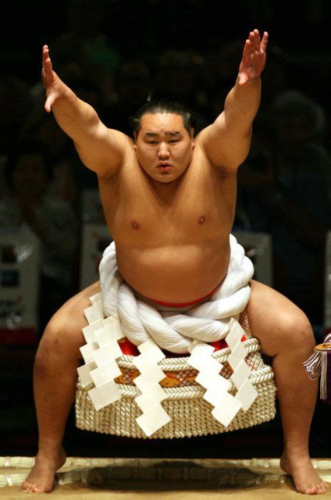 Sumo Wrestlers 41 Pics