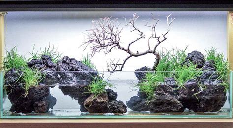 Natural black lava rock with hints of browns and grays. Large Lava Rock Black Color 7"- 18" Volcanic Rock ...