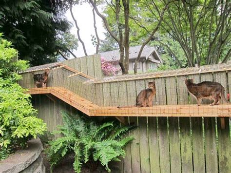 Designed specifically with the feline brain in mind, cat enclosures provide your cat with an enriched environment. Awesome Large DIY backyard Cat Enclosure | Cuckoo4Design