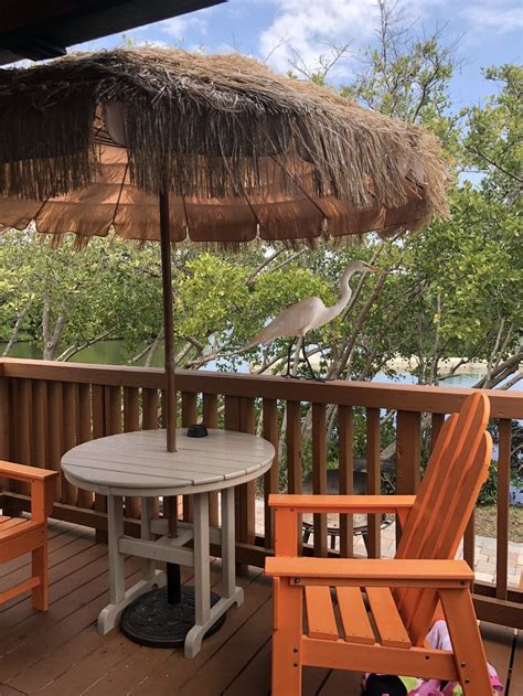 We pride ourselves in being a family oriented, kid friendly site since 1984. St. Petersburg Florida KOA Campground and Deluxe Cabin ...