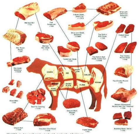 Mmmm Beef Cut Chart Moms Cooking Cooking Guide Cooking Meat Cow Meat Beef Meat Parts Of A