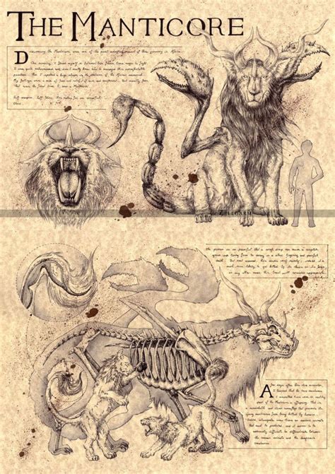 Beasts Magical Creatures Mythology Mythical Creatures Art