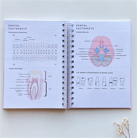 Dental Student, Dental School, Dental Hygienist, Dental Assistant, Rdh
