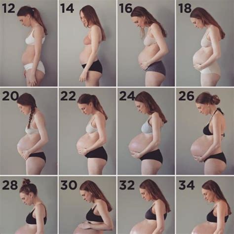Massive Pregnant Triplet Belly Telegraph