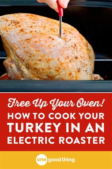 How To Cook A Turkey In An Electric Roaster Artofit