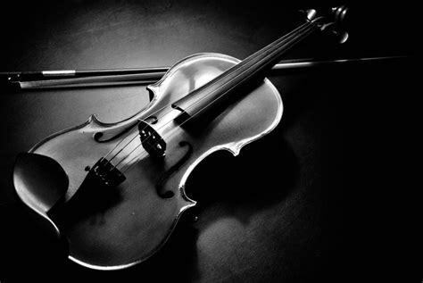 Loading Violin Learn Violin Violin Pics