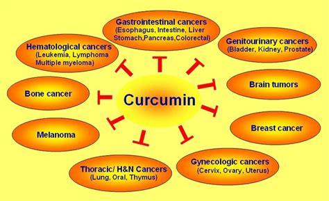 Curcumin Benefits Characteristics And Side Effects Curcumin