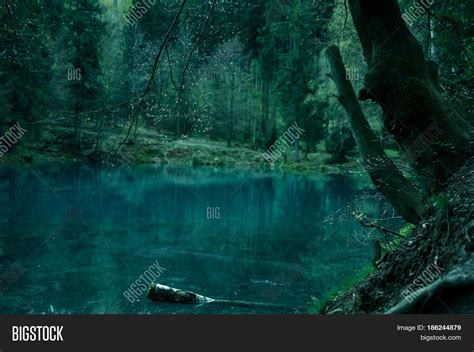 Magical Pond Image And Photo Free Trial Bigstock