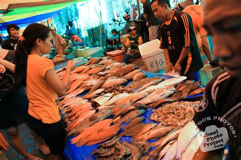 Fresh Fish Free Stock Photo Image Picture Fish Market Royalty Free