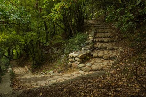 Stone Stairs Path Way Of Medieval Cold Dungeon Prison Cave Perspective