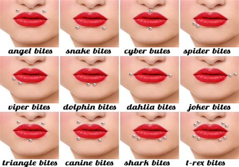 Different Types Of Lip Piercing Ideas