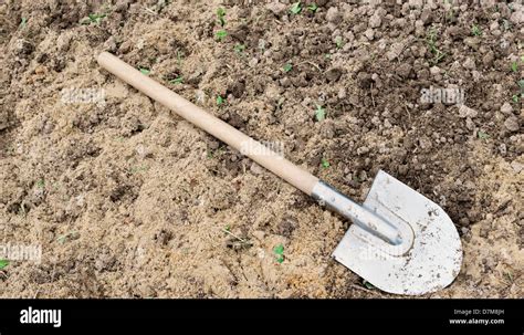 Archeology Tools Hi Res Stock Photography And Images Alamy