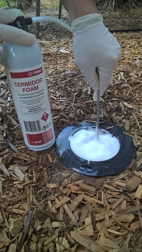 Its the pest control i am unsure about. Termidor® Foam arrives at the station
