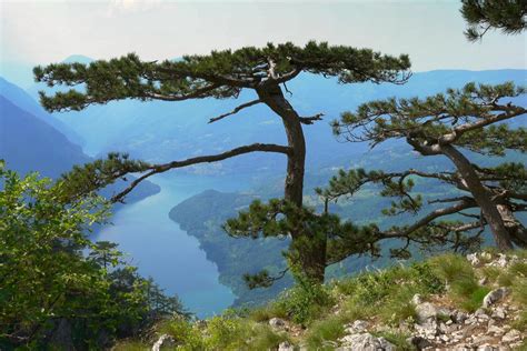 Nacionalni Parkovi Srbije Priroda Pod Zaštitom Države