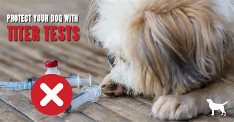 Maybe you would like to learn more about one of these? Titer Tests: An Important Tool To Prevent The Over ...