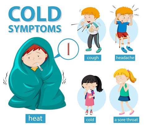 Free Vector Medical Infographic Of Cold Or Flu Symptoms