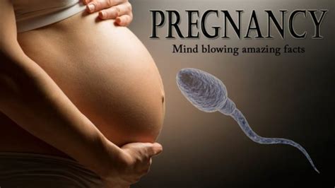 Amazing Pregnancy Facts Including The Longest Pregnancy