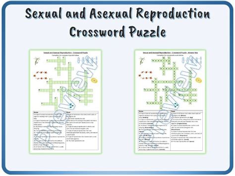 Sexual And Asexual Reproduction Crossword Puzzle Worksheet Activity Printable Teaching