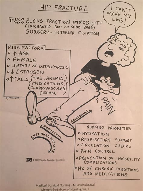 Musculoskeletal System, Medical Surgical Nursing, Hip ...