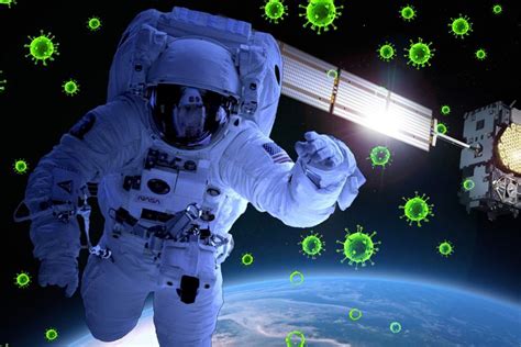 Is The Immune System Affected In Space? » Science ABC