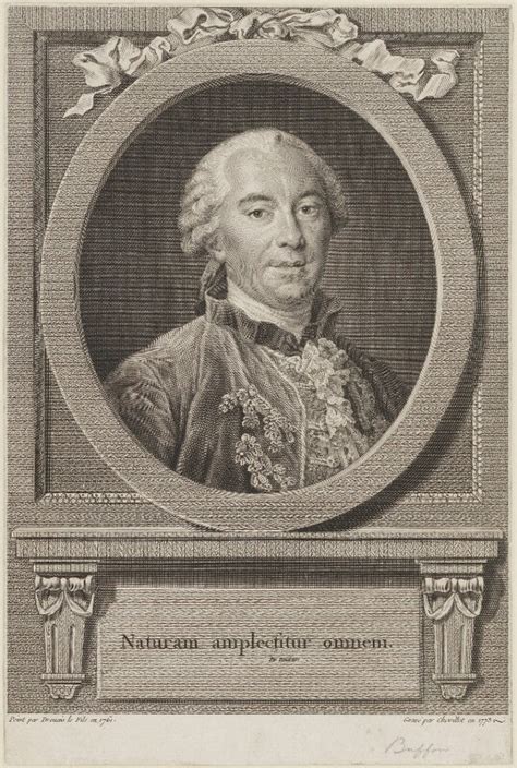 Npg D14482 Georges Louis Leclerc Comte De Buffon Portrait