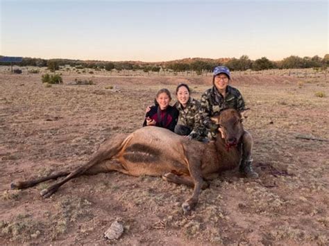 Rifle Cow Elk Hunts New Mexico Hunt Bmo Hunts