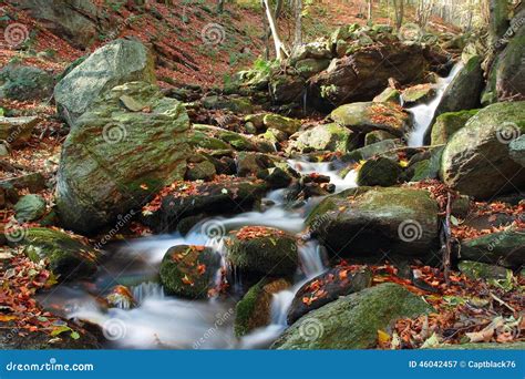Autumn Colors In Mountain Stream Stock Image Image Of Autumn Green