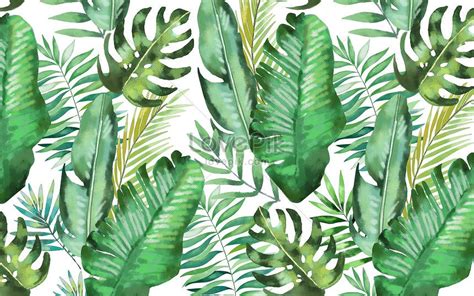 Watercolor Background Of Tropical Leaves Leaves Illustration