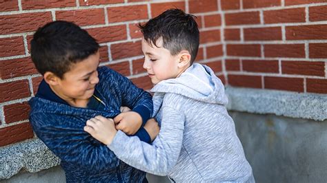 Identifying Children At Risk For Physical Aggression