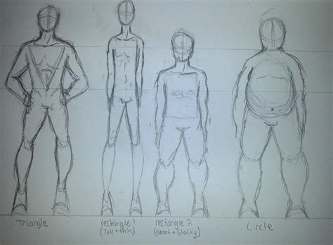 Body Study Male Body Shapes by KeisComics on DeviantArt