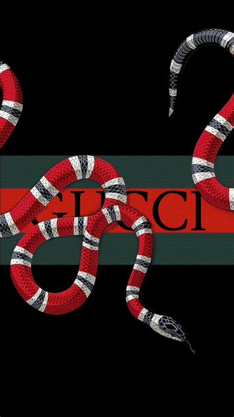 Gucci Snakes Wallpaper Walltwatchesco