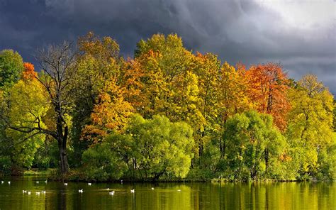View Lake Grass Leaves Autumn Splendor Beautiful Water Trees