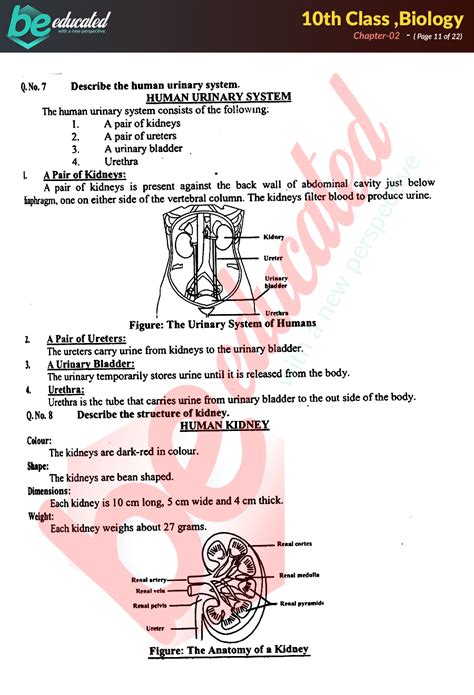 Class 10 Notes Biology CLASSNOTES Cbse Notes For Class 10 Biology