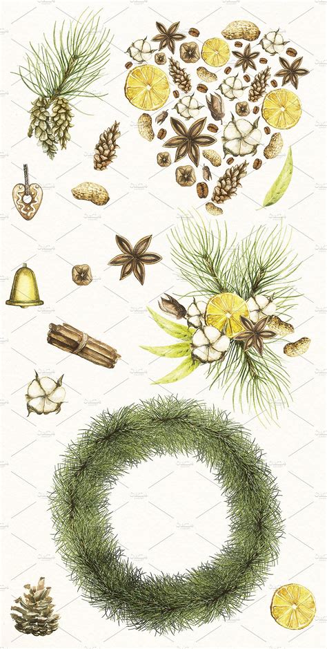 Watercolor pine collection | Wreath watercolor, Christmas watercolor, Watercolor illustration